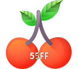  55FF